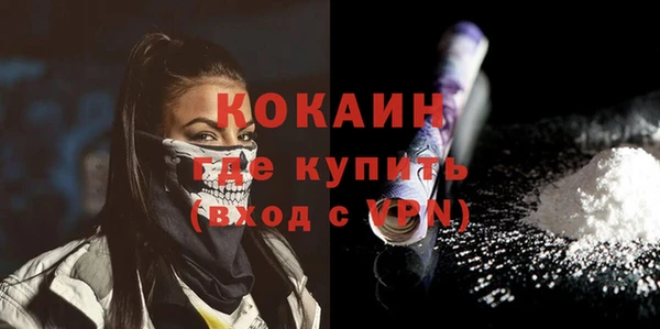 ECSTASY Богданович