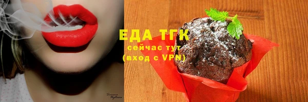 мдпв Богородск