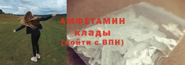 мдпв Богородск