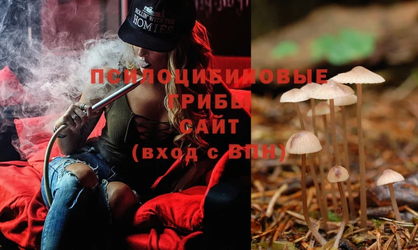 ECSTASY Богданович