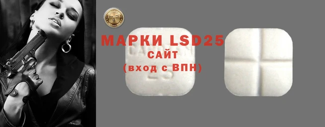 ECSTASY Богданович