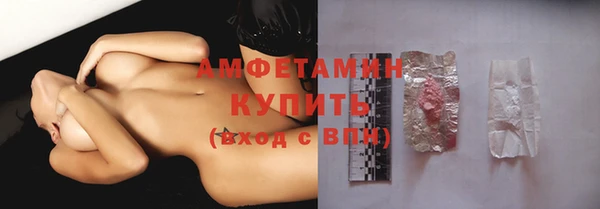 ECSTASY Богданович