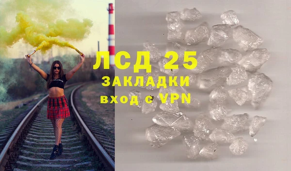 ECSTASY Богданович