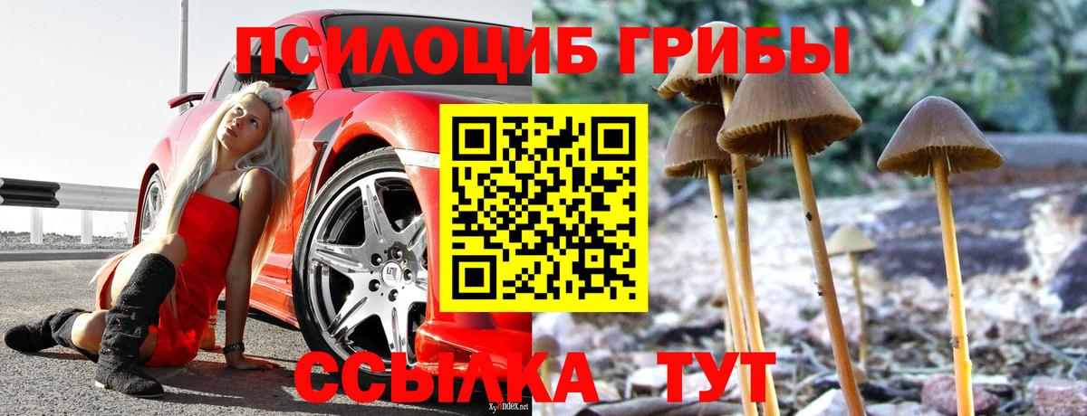 Галлюциногенные грибы Magic Shrooms  Вход с VPN  Галлюциногенные грибы мухоморы  Острогожск 