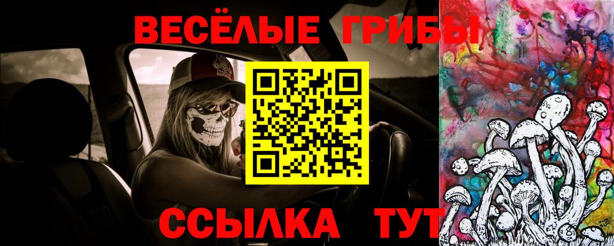 Псилоцибиновые грибы ЛСД Острогожск